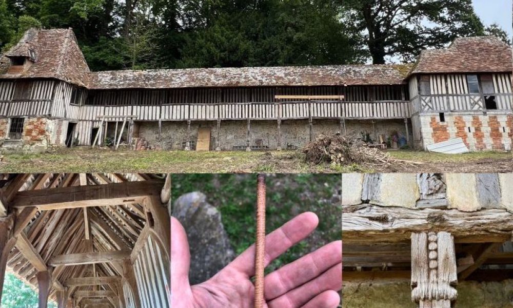 Intervention de la société Dendrotech au manoir des Mathurins © Dendrotech.