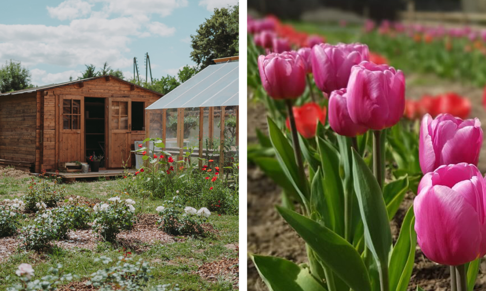 La ferme florale © Photo château de Canon